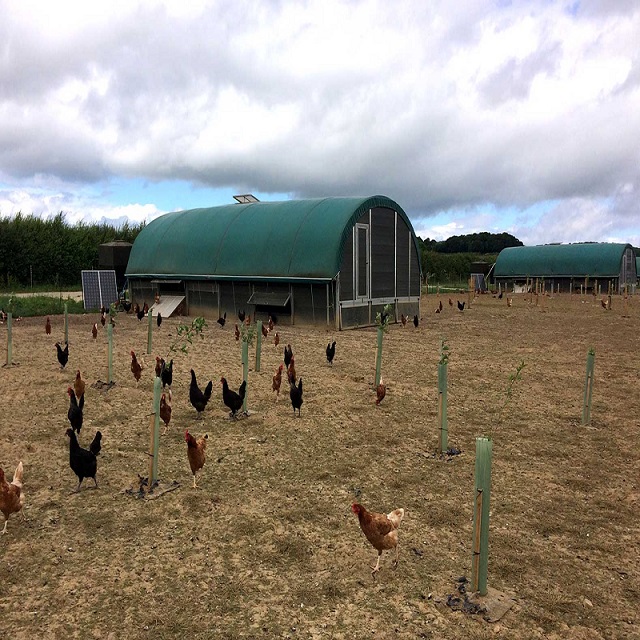Pop Up Horse Field Shelter Livestock House Poultry Storage Shed