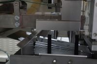 Premade Bag Packaging Machine for Pad and Pantyliner