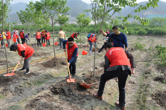 Charity tree planting activities