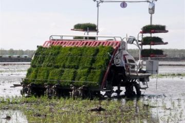 Les efforts de modernisation éclairent les perspectives mondiales