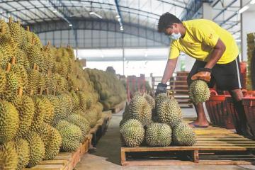 Les services financiers dans le cadre de l'initiative sino-singapourienne profitent aux membres de l'ASEAN