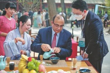 Elämä丨 Kulttuuria teehen asti