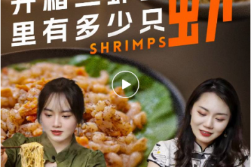 Tämä kulho nuudelia, jossa käytettiin 240 katkarapua, odotimme 5 tuntia...