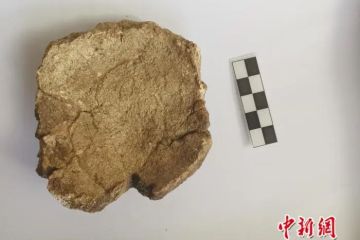 First discovery in Zhoukoudian in 50 years!