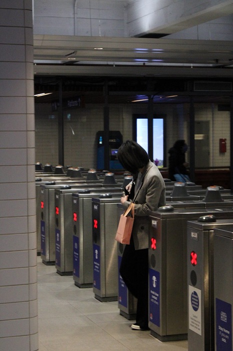 security gate turnstile