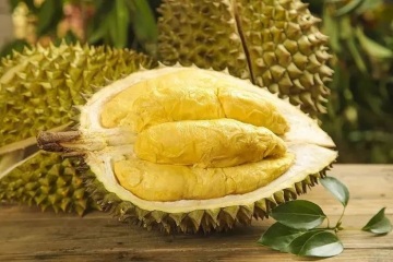 Nouveau rapport : les Chinois mangent 91 % des durians dans le monde !