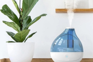 Les meilleurs humidificateurs de 2023, essayés et testés