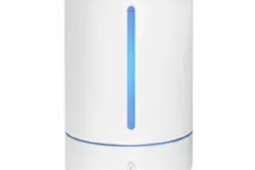 Clinique Mayo : les humidificateurs peuvent soulager les symptômes cutanés et respiratoires