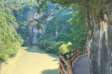 Life丨Un voyage naturellement enrichissant