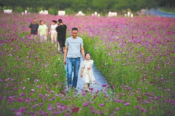 La vie des gens du village