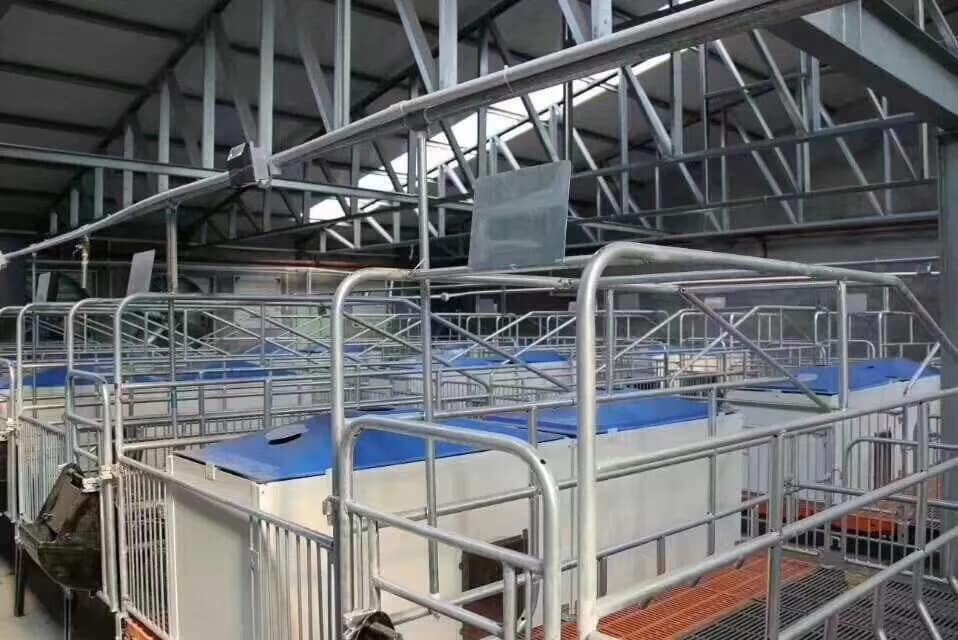 Large Livestock Farms