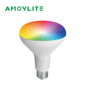 Lampadina Smart RGB dimmerabile BR40