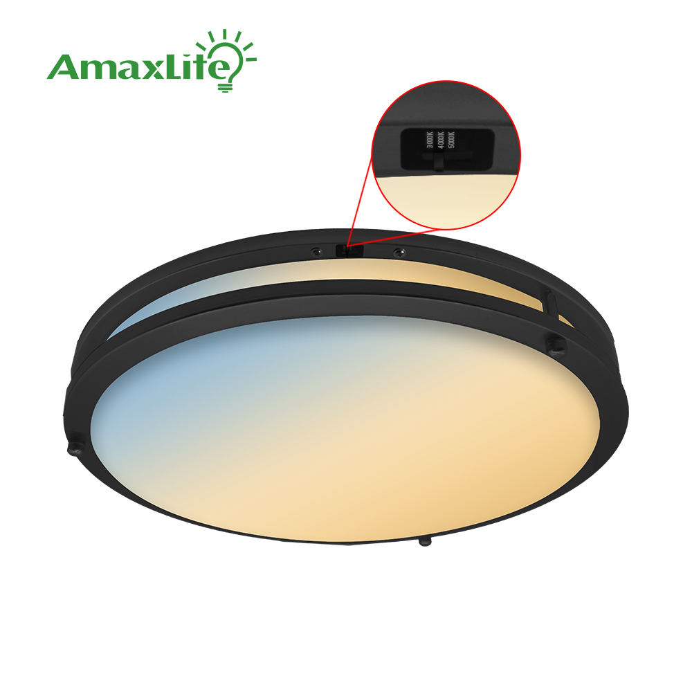 Dimmable Ceiling Light