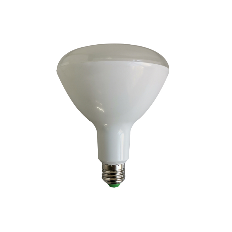 LED BR20/BR30/BR40 Light Bulbs