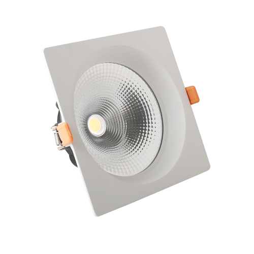 Project Large LED Recessed Ceilling Downlight
