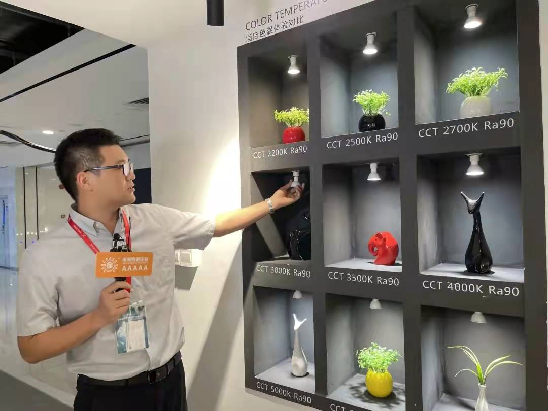 Nanhai Wide Konferenz zur Förderung der Einrichtungsindustrie