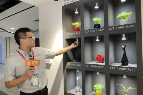 Nanhai Wide Home Furnishing Industry Promotion Conference
