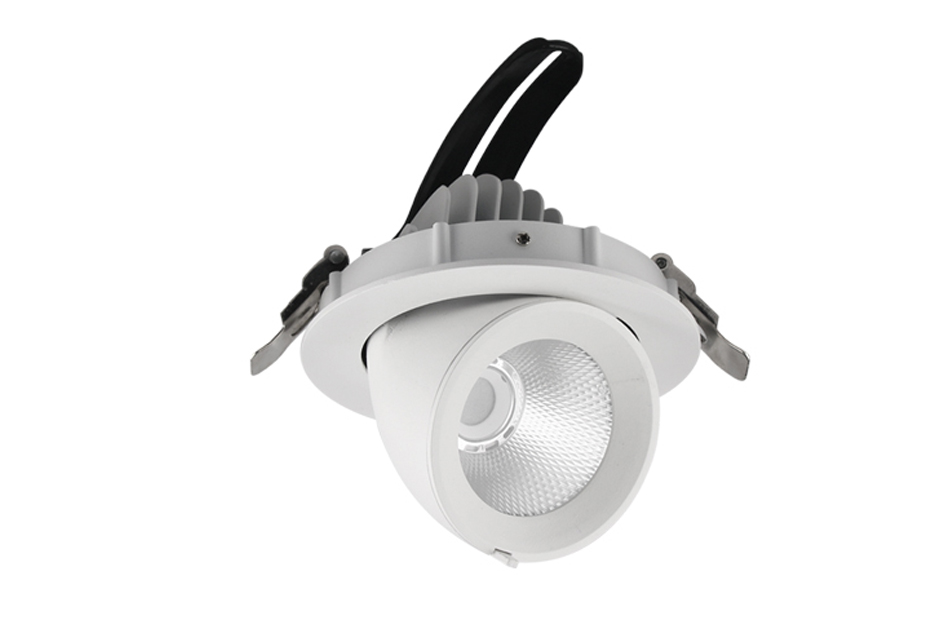 LED Recessed Adjustable Spot Light
