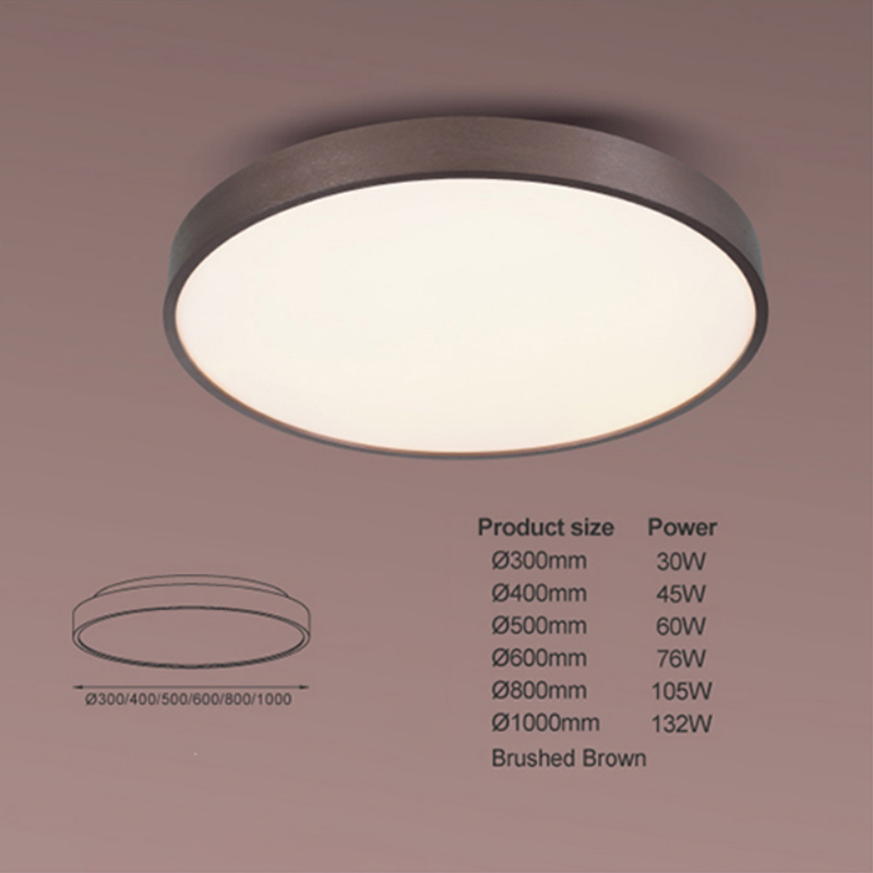 ceiling LED light