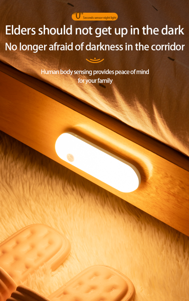 intelligent induction lamp