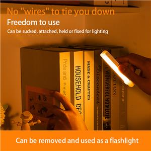 Motion Sensor LED Light, - Smart, Magnetic for cars & More