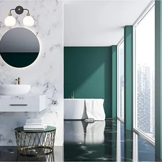 Modern Black 2-Light Vanity Light