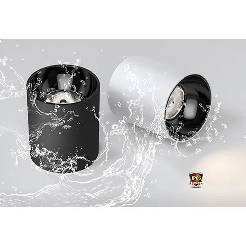 LED bathroom downlight
