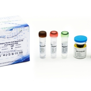 Monkeypox Nucleic Acid Detection Kit