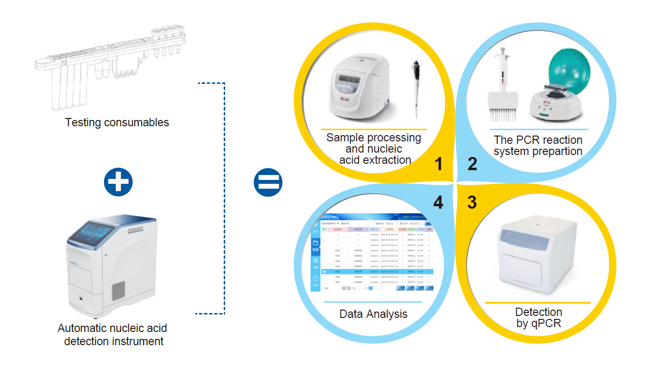 Multiplex fluorescence analysis system