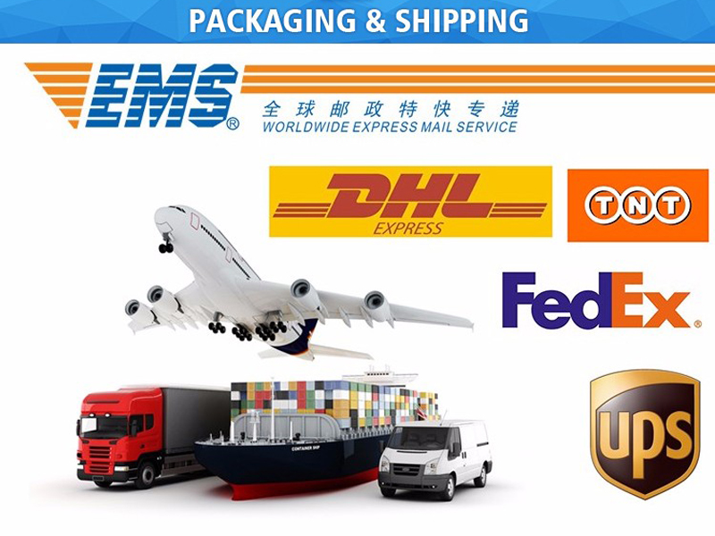 Sea Freight, Air Freight and International Express