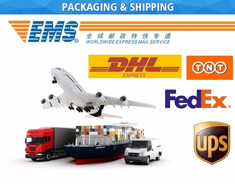 Sea Freight, Air Freight and International Express