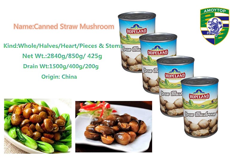 Canned Straw Mushroom--Amoytop
