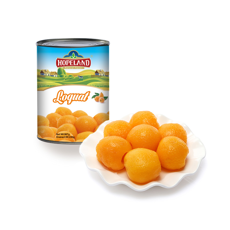 Canned Loquat Fruit Factory