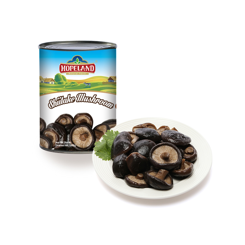 Cogumelos Shiitake enlatados