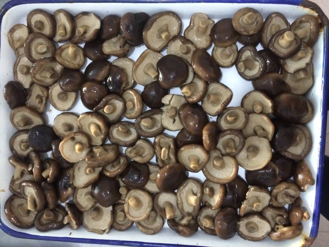 shiitake mushroom in can