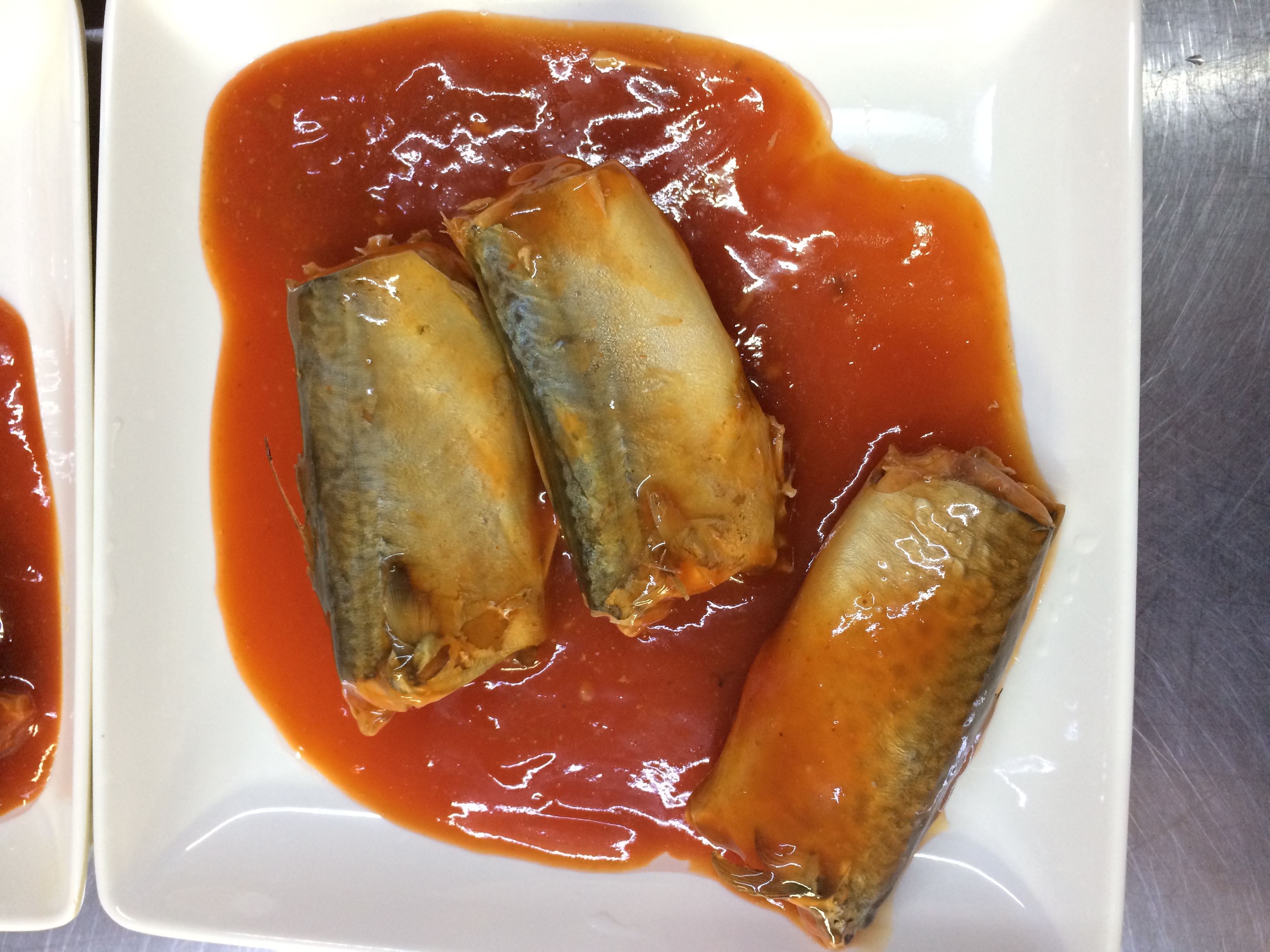 mackerel in oil