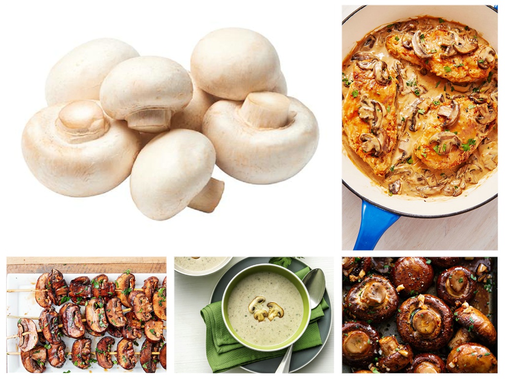 Peak season of Canned Champignons Mushroom Peak season of Canned Champignons Mushroom