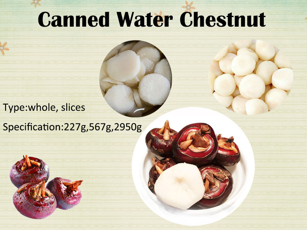 2021 New season of Canned water chestnuts----Amoytopfoods