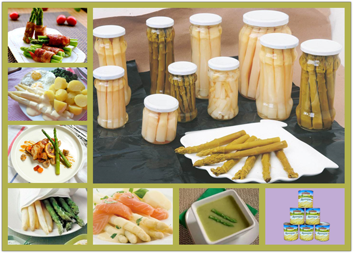 New corp--China Canned asparagus New corp--China Canned asparagus