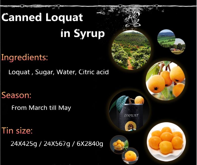 Canned Loquat in 2022 new campaign is coming