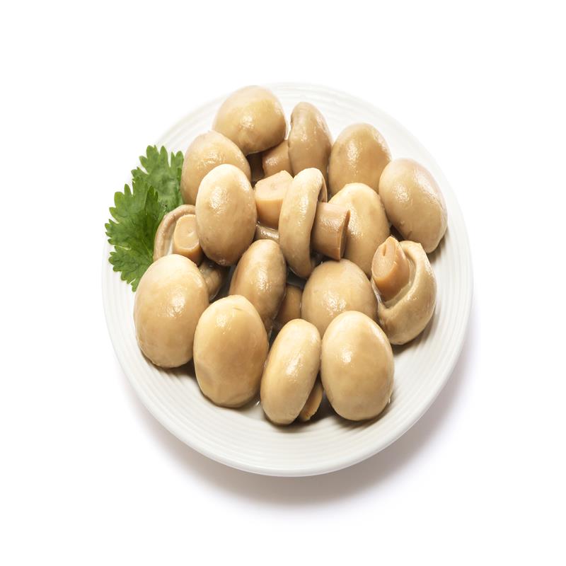 Canned Whole Mushroom