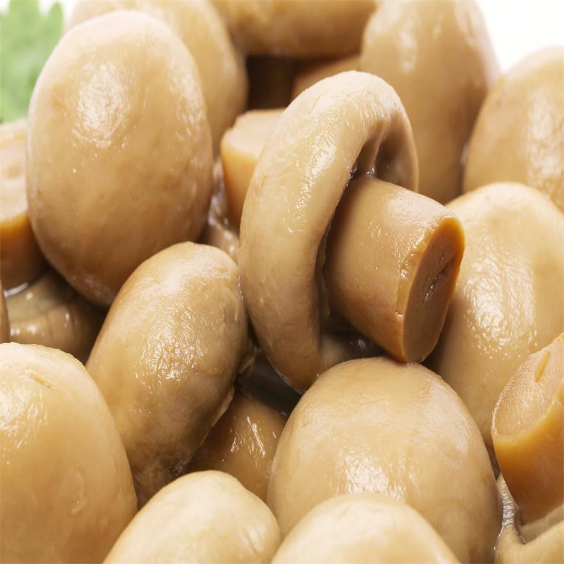 Canned Whole Mushroom