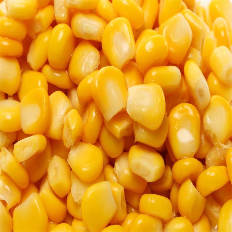 Canned Sweet Corn