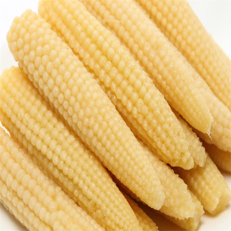 Canned Baby Corn In Brine Factory