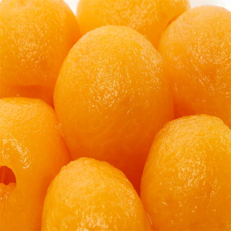 Canned Loquat Fruit