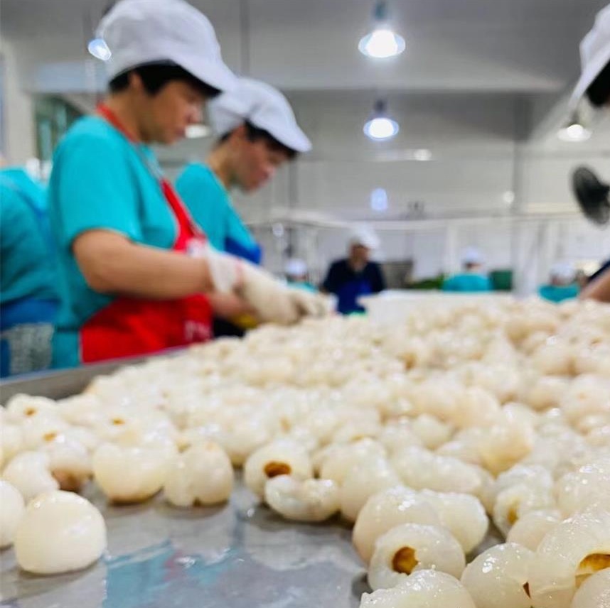 New Season Canned Lychees New Season Canned Lychees