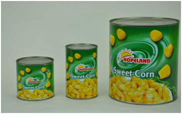 Sweet Corn----Hot Sale Products