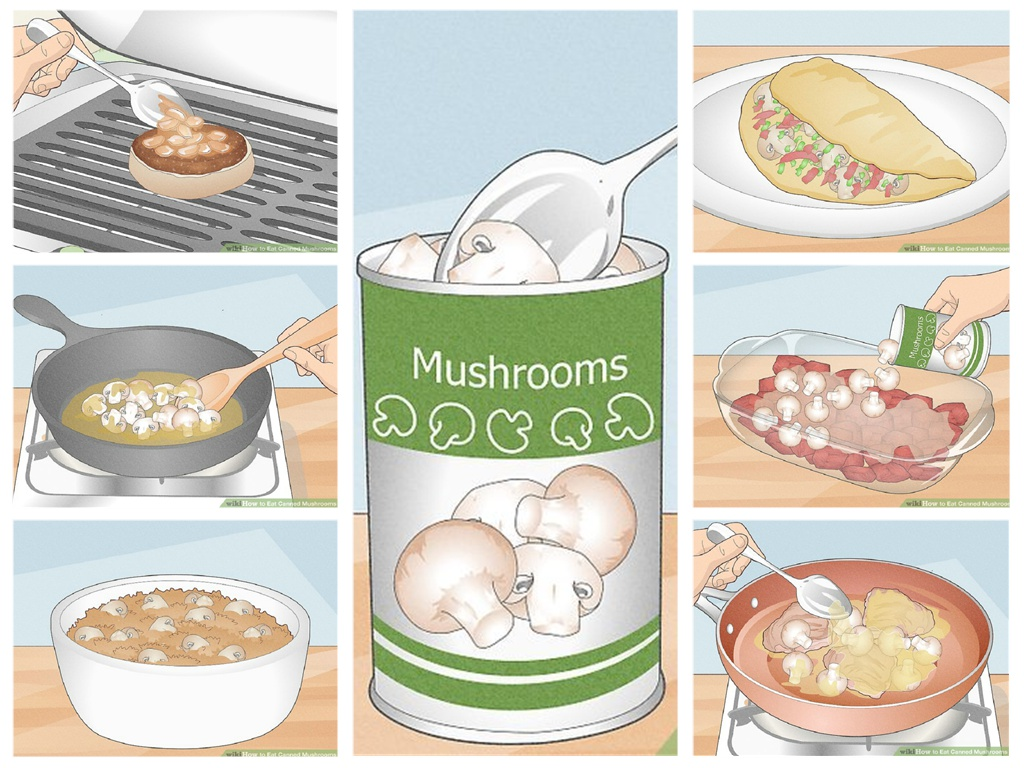 ¿El champiñón enlatado es un hongo real? ¿El champiñón enlatado es un hongo real?