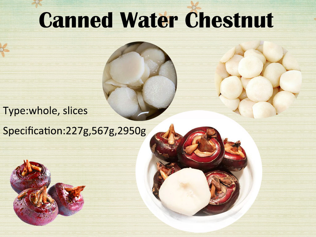 The Peak Season Of Canned Water Chestnut Is Coming