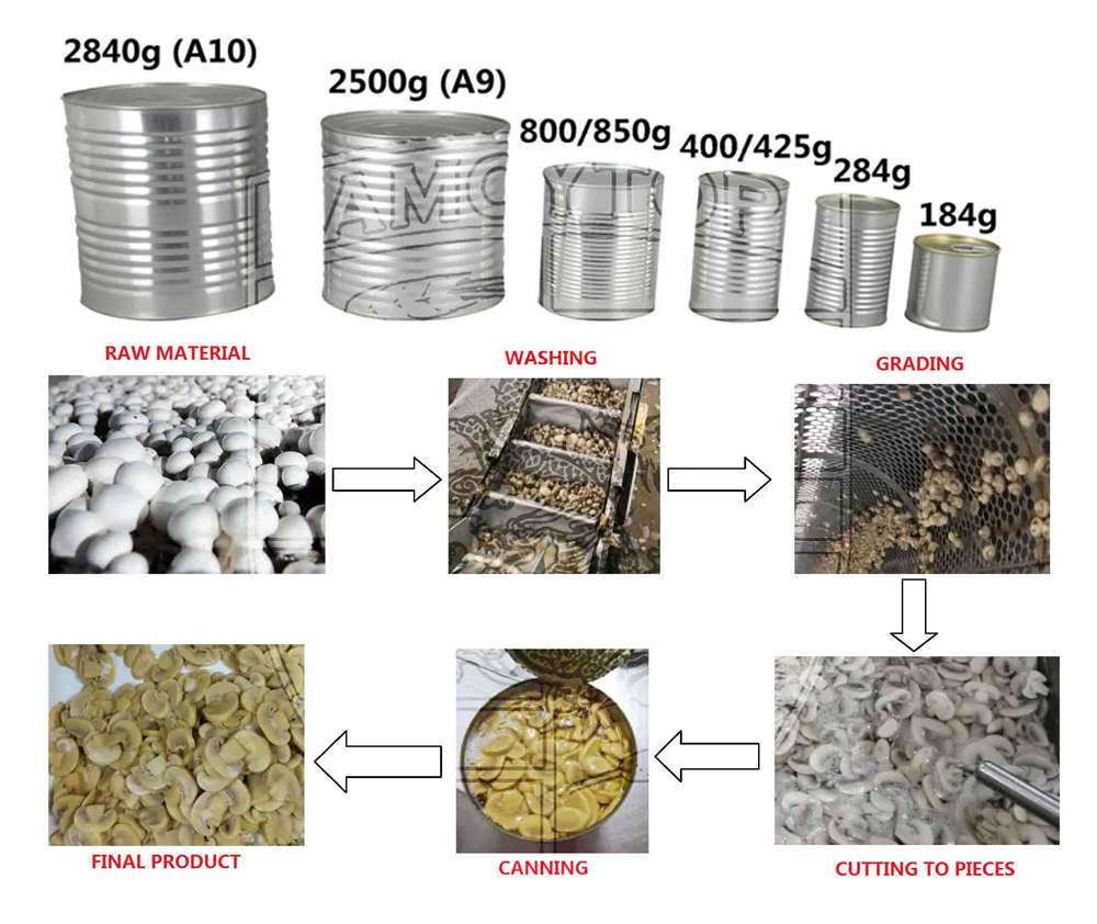 New factory---Canned Mushroom